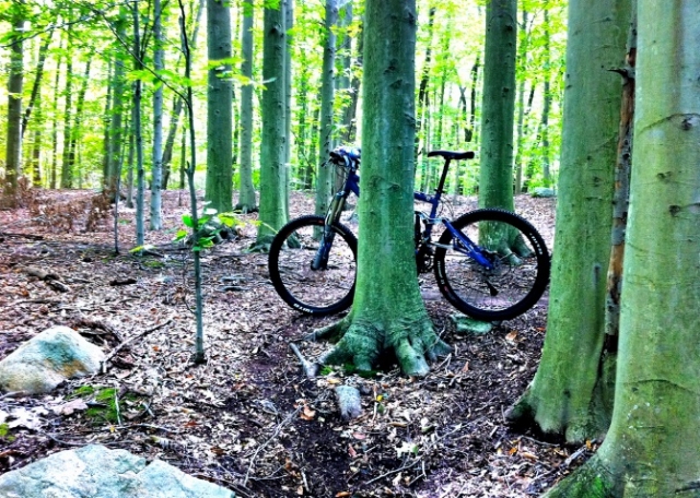  Paixão pelo ciclismo 